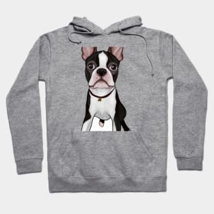 Cute Boston Terrier Drawing Hoodie